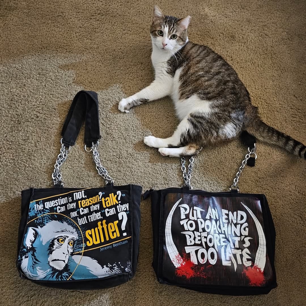 Animal Rights Graphic Tote Bags - Black - image 2